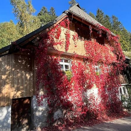 Auszeit Am Kreisbach Apartment Triberg im Schwarzwald Exterior photo